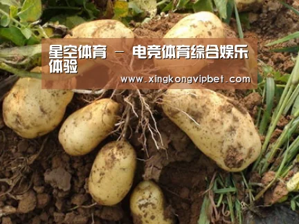 种植基地六
