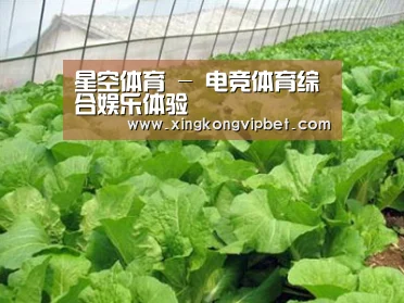 种植基地一