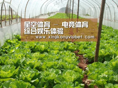 种植基地五
