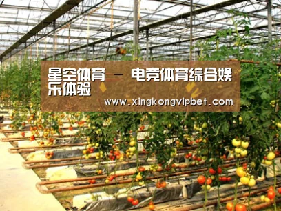 种植基地二