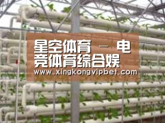 环境展示六