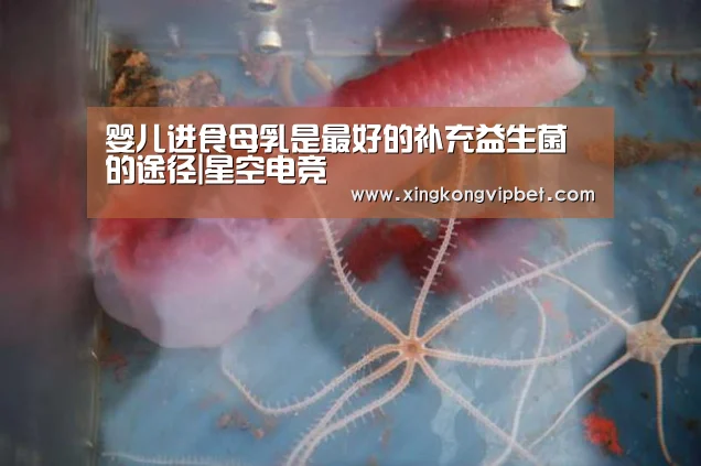 星空电竞